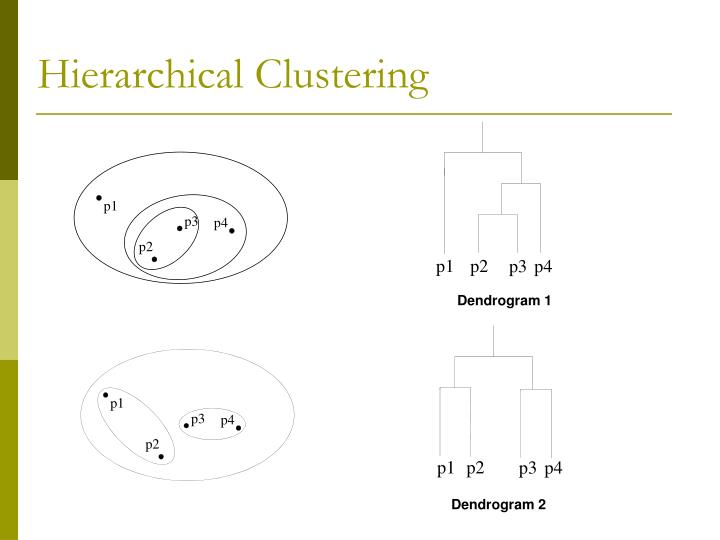 hierachical clustering dendrogram